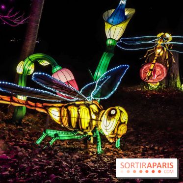 Thoiry Lumières Sauvages, les photos