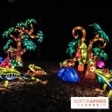 Thoiry Lumières Sauvages, les photos images