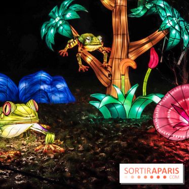 Thoiry Lumières Sauvages, les photos