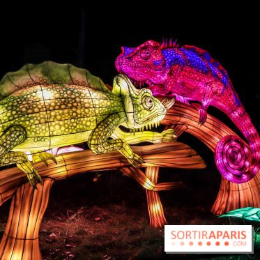 Thoiry Lumières Sauvages, les photos