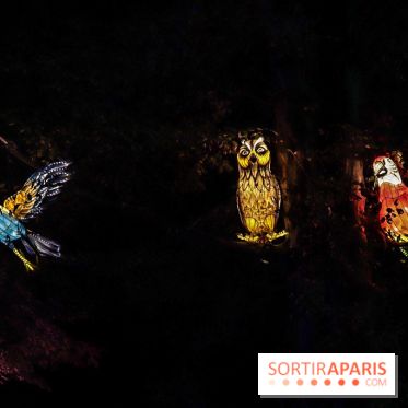 Thoiry Lumières Sauvages, les photos