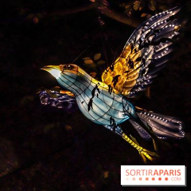 Thoiry Lumières Sauvages, les photos