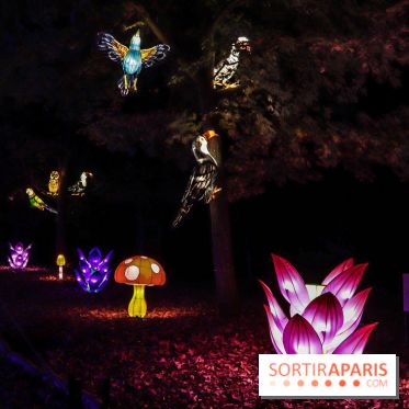 Thoiry Lumières Sauvages, les photos