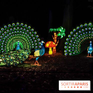 Thoiry Lumières Sauvages, les photos