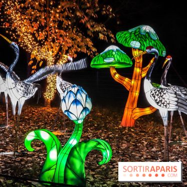 Thoiry Lumières Sauvages, les photos