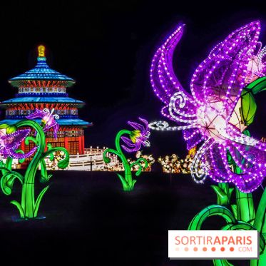 Thoiry Lumières Sauvages, les photos