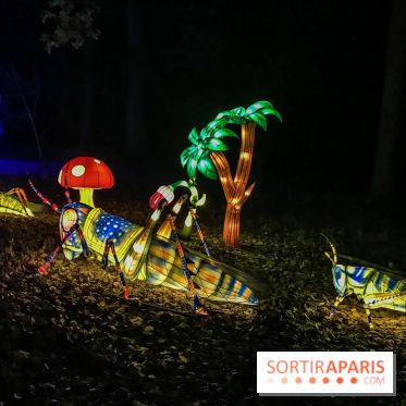 Thoiry Lumières Sauvages, les photos