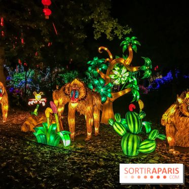 Thoiry Lumières Sauvages, les photos images