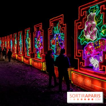 Thoiry Lumières Sauvages, les photos images  - visuel