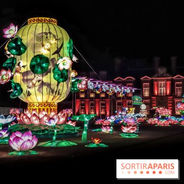 Thoiry Lumières Sauvages, les photos