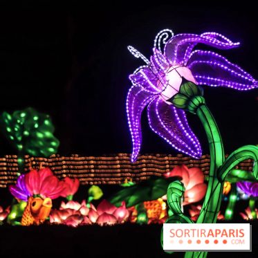 Thoiry Lumières Sauvages, les photos