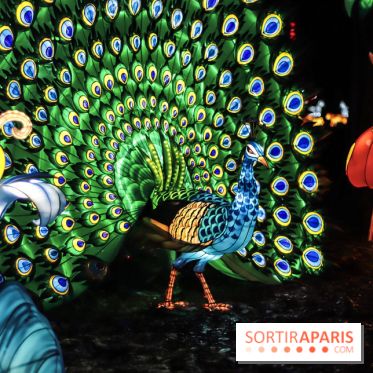 Thoiry Lumières Sauvages, les photos