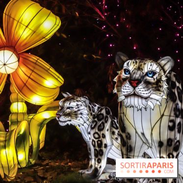 Thoiry Lumières Sauvages, les photos