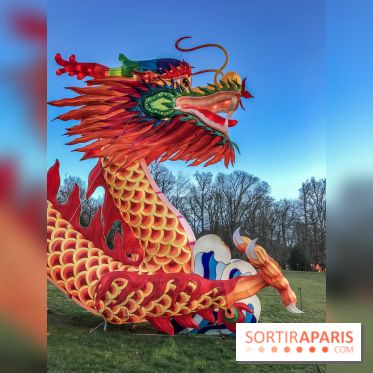 Thoiry Lumières Sauvages, les photos