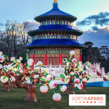 Thoiry Lumières Sauvages, les photos