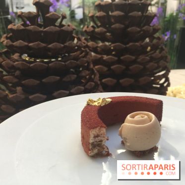 Bûche de Noël 2018 de Maxime Frédéric pour le George V