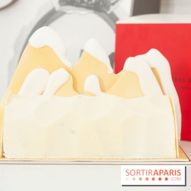 Bûche de Noël 2018 de Royal Monceau x Pierre Hermé