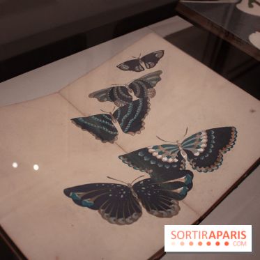 Les trésors de Kyoto au Musée Cernuschi