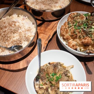 Mayo, le nouveau bistrot by Hyatt Regency