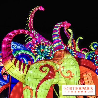 Festival de Lumières au Jardin des Plantes : Espèces en voie d’illumination