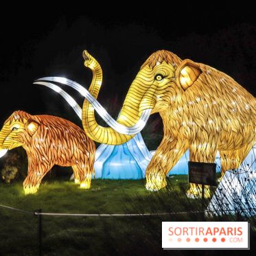 Festival de Lumières au Jardin des Plantes : Espèces en voie d’illumination