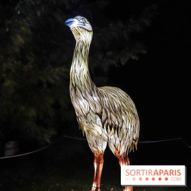 Festival de Lumières au Jardin des Plantes : Espèces en voie d’illumination