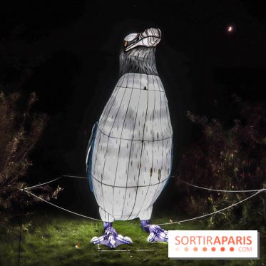 Festival de Lumières au Jardin des Plantes : Espèces en voie d’illumination