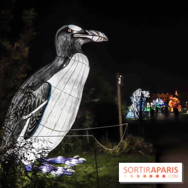 Festival de Lumières au Jardin des Plantes : Espèces en voie d’illumination