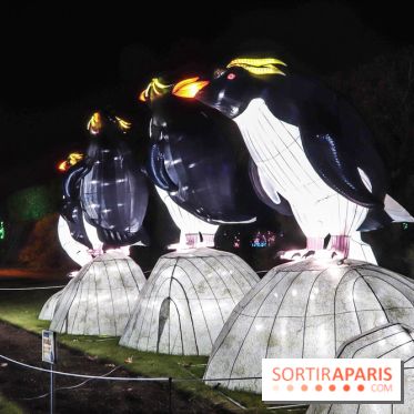 Festival de Lumières au Jardin des Plantes : Espèces en voie d’illumination