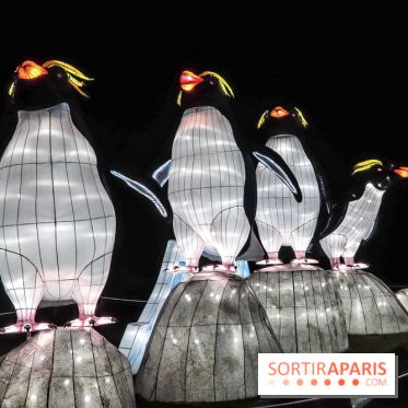 Festival de Lumières au Jardin des Plantes : Espèces en voie d’illumination