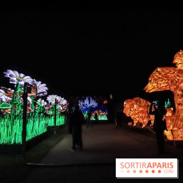 Festival de Lumières au Jardin des Plantes : Espèces en voie d’illumination
