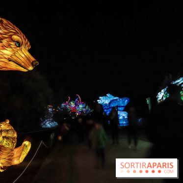 Festival de Lumières au Jardin des Plantes : Espèces en voie d’illumination