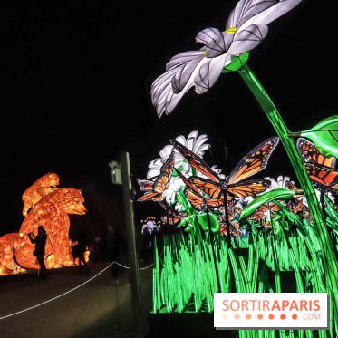 Festival de Lumières au Jardin des Plantes : Espèces en voie d’illumination