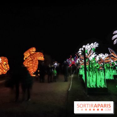 Festival de Lumières au Jardin des Plantes : Espèces en voie d’illumination