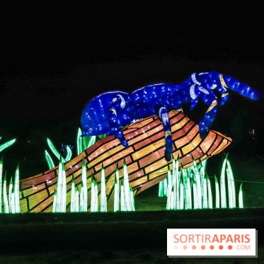 Festival de Lumières au Jardin des Plantes : Espèces en voie d’illumination