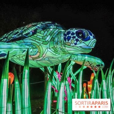 Festival de Lumières au Jardin des Plantes : Espèces en voie d’illumination - tortues
