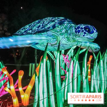 Festival de Lumières au Jardin des Plantes : Espèces en voie d’illumination