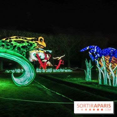 Festival de Lumières au Jardin des Plantes : Espèces en voie d’illumination