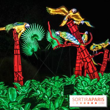 Festival de Lumières au Jardin des Plantes : Espèces en voie d’illumination
