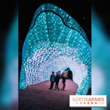 Festival de Lumières au Jardin des Plantes : requin