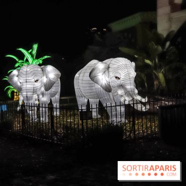 Festival de Lumières au Jardin des Plantes : Espèces en voie d’illumination