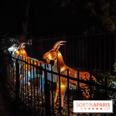 Festival de Lumières au Jardin des Plantes : Espèces en voie d’illumination