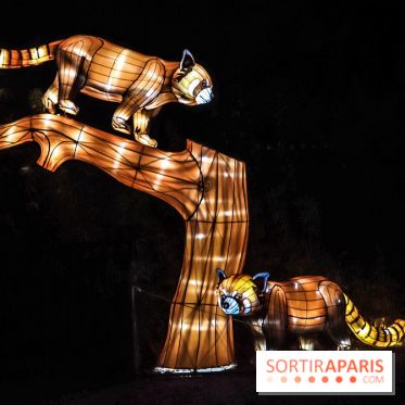 Festival de Lumières au Jardin des Plantes : Espèces en voie d’illumination