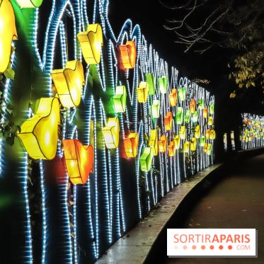 Festival de Lumières au Jardin des Plantes : Espèces en voie d’illumination