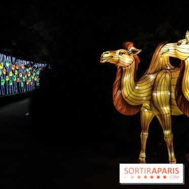 Festival de Lumières au Jardin des Plantes : Espèces en voie d’illumination