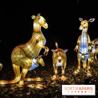 Festival de Lumières au Jardin des Plantes : Espèces en voie d’illumination