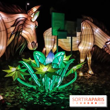 Festival de Lumières au Jardin des Plantes : Espèces en voie d’illumination