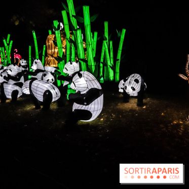 Festival de Lumières au Jardin des Plantes : Espèces en voie d’illumination