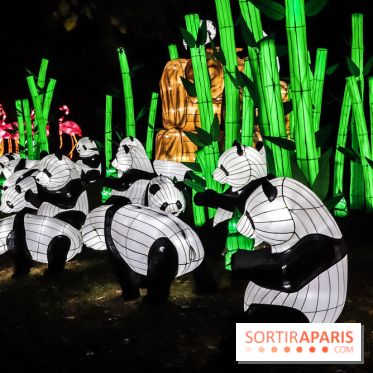 Festival de Lumières au Jardin des Plantes : pandas