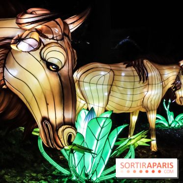 Festival de Lumières au Jardin des Plantes : Espèces en voie d’illumination